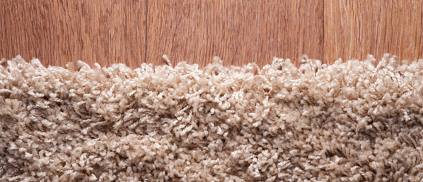 Rug Cleaning